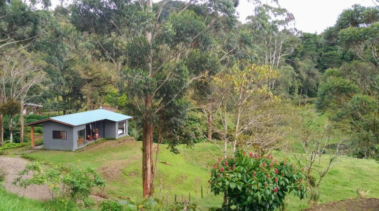 Olingo Monteverde Extérieur photo