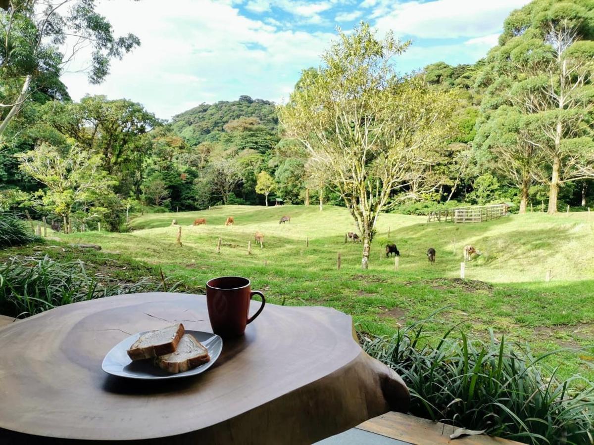Olingo Monteverde Extérieur photo