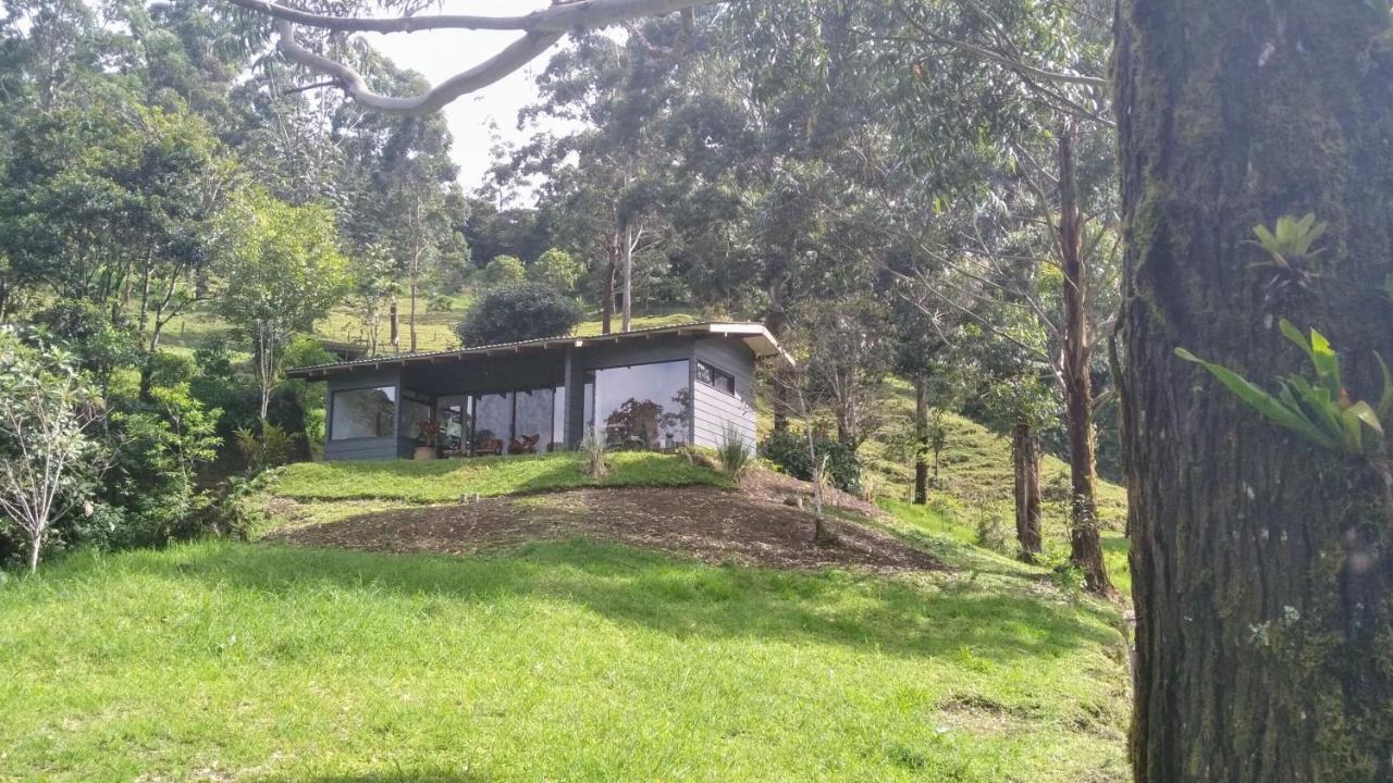 Olingo Monteverde Extérieur photo