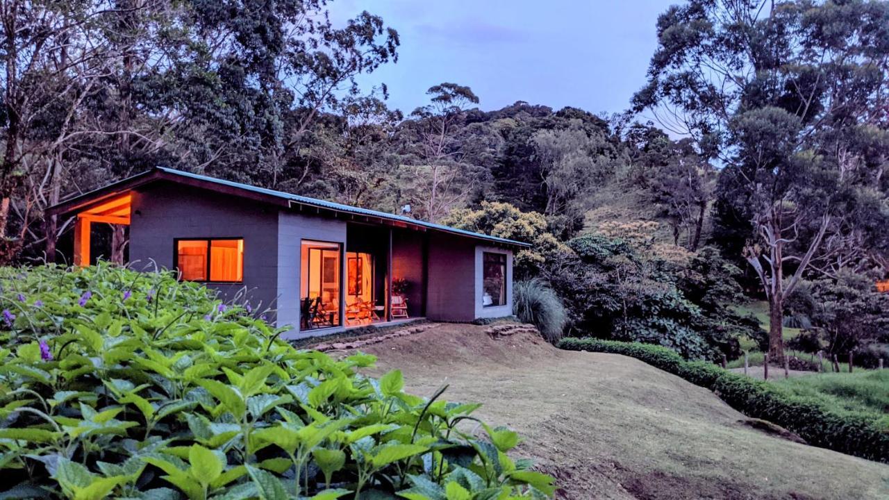Olingo Monteverde Extérieur photo